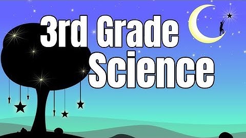 3rd Grade Science Compilation
