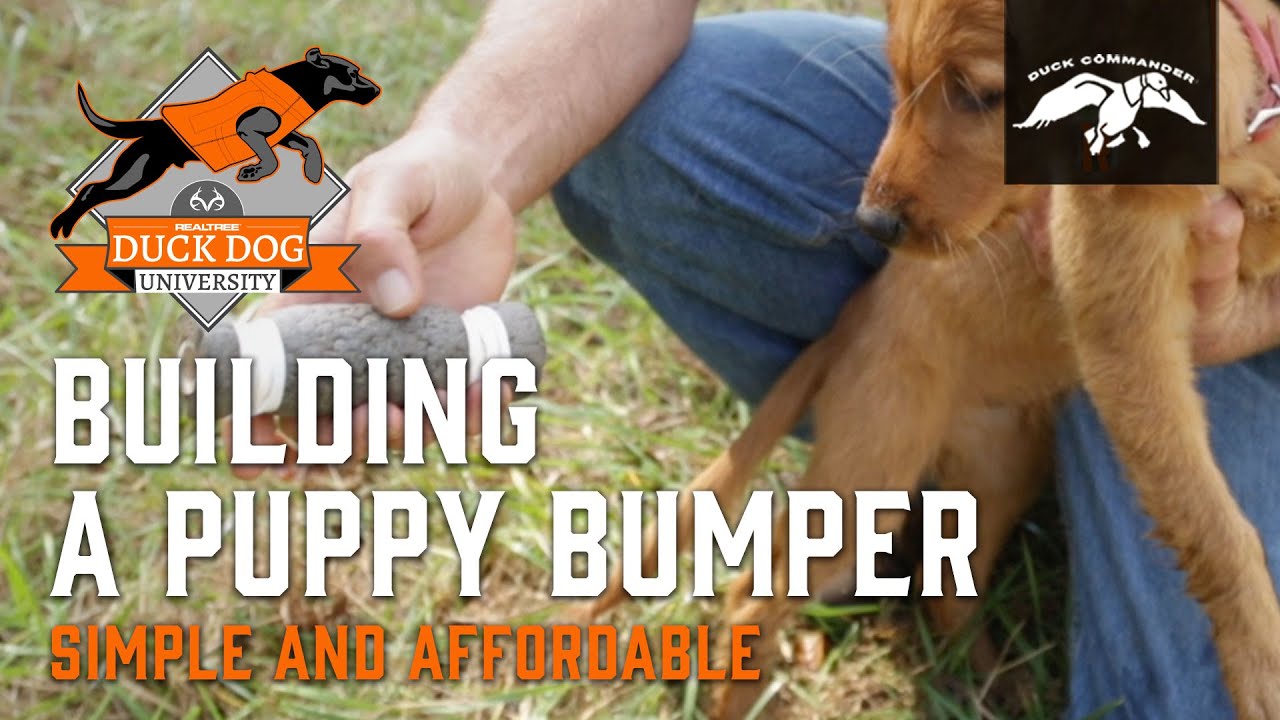DIY Puppy Bumpers and Leash Training Tips | Duck Dog University - Episode 3 - YouTube