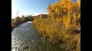 FALL COLORS in Montrose, Co