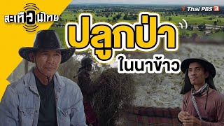 ปลูกป่าในนาข้าว | สะเทือนไทย [CC]