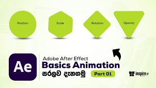 Adobe After Effect For Beginners | Animation Principles | Part 01 | Sinhala
