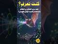 كيف يرى الخفاش في الظلام باستخدام تحديد الموقع بالصدى 