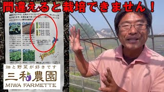 （参考∶状況確認ページ）R8野菜苗温床栽培（播種）１月３１種蒔き開始 maxresdefault.jpg