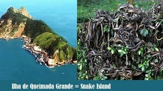 Snake Island in Brazil (Hindi)