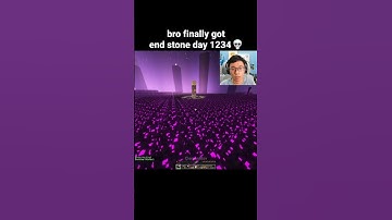 Minecraft End Stone Moment