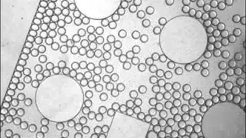 ARAbate, parallel drop formation