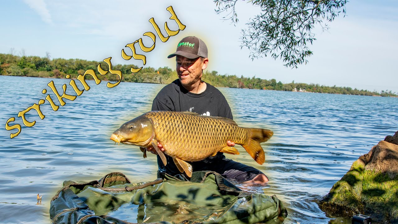 Dave's Vlog: Striking Gold