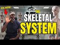 Skeleton and Bones Quiz