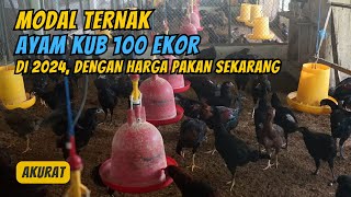 Modal Ternak Ayam KUB 100 Ekor di 2024, dari DOC Sampai Siap Panen