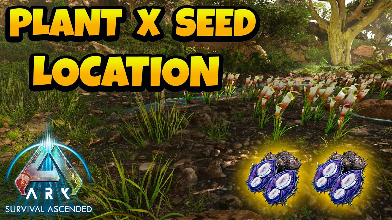 How to Get Plant Species X Seed in ARK Ascended - The Island - YouTube