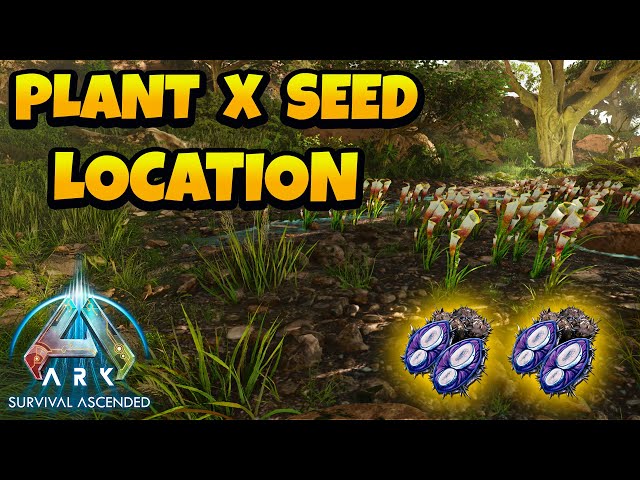 How to Get Plant Species X Seed in ARK Ascended - The Island - YouTube