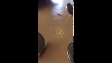 Slow motion falling coins