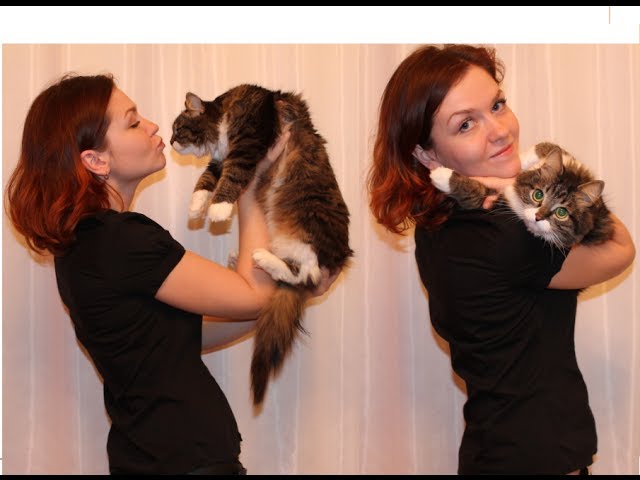 ВОЛОСЫ ПОВСЮДУ! Как я борюсь с кошачьей шерстью? (Ирина Соковых)
