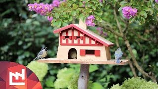 We made a bird house in the typical style of the Basque region (south-west of France), birds seem to like it, maybe there are basque 