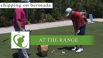 Hitting The Chip Shot On Bermuda Grass