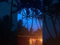#foryou #viral #video #raistar #rain #vincenzo #maldives #india