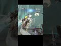 Warframe Moments | AJJU9e7 ⚔️ The LEVEL CAP Man | Legendary 5 | #Shorts | India