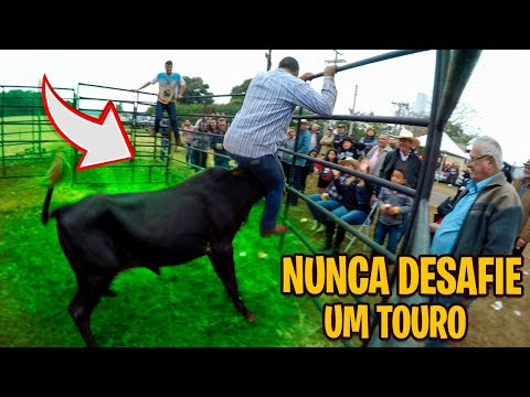 Touro Selvagem + Fugindo dos Humanos! Grande Jornada