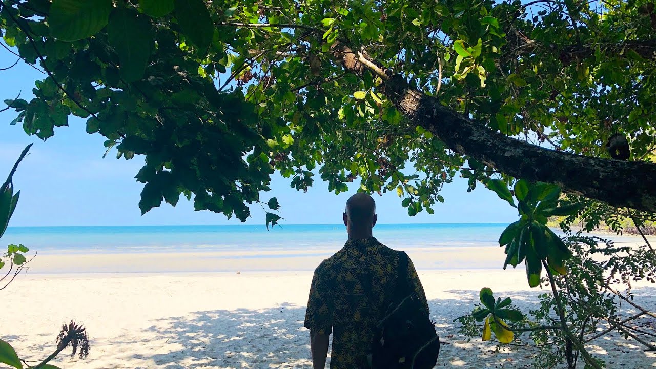 Australia: Daintree Rainforest and Cape Tribulation