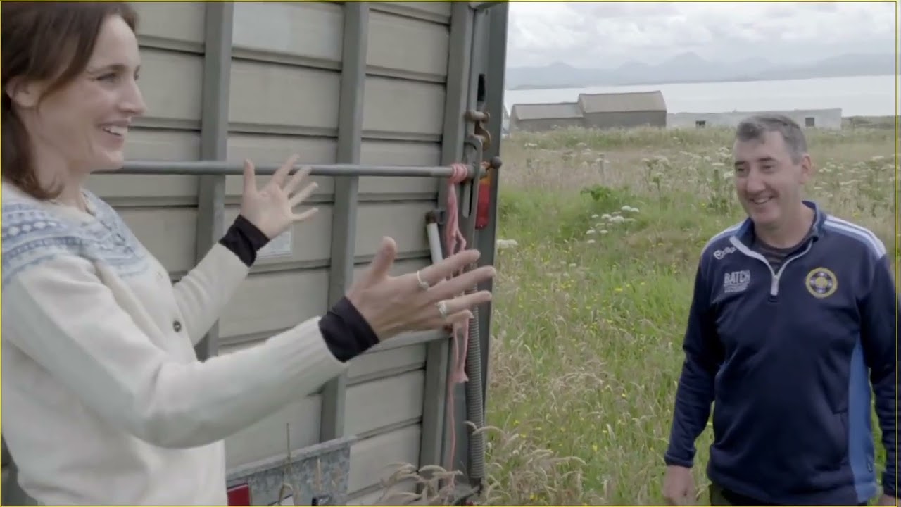 Ear to the Ground  - RTE