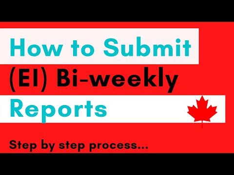 How to submit bi-weekly reports for ei step by step process