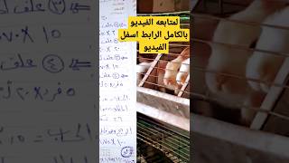 دراسة جدوى مشروع الأرنب 20أم و3ذكور