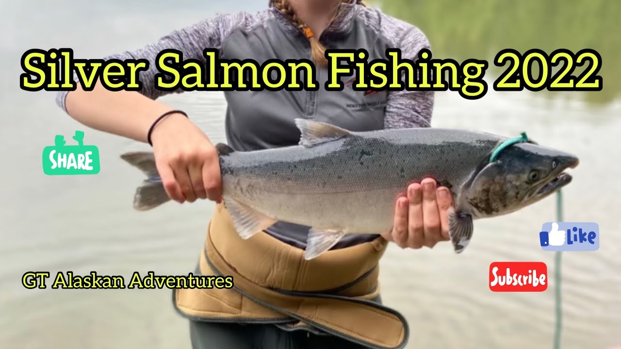 Alaska Silver Salmon Fishing 2022 YouTube