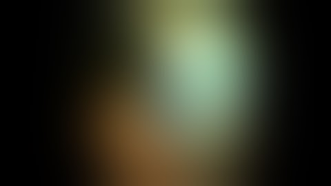 ROTH NET™ Retriever - EMR