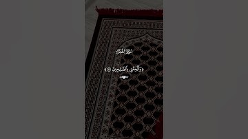 #ماهر_المعيقلي تلاوة هادئة ومؤثرة جدًا بصوت الشيخ ماهر المعيقلي؟#ماهر_المعيقلي