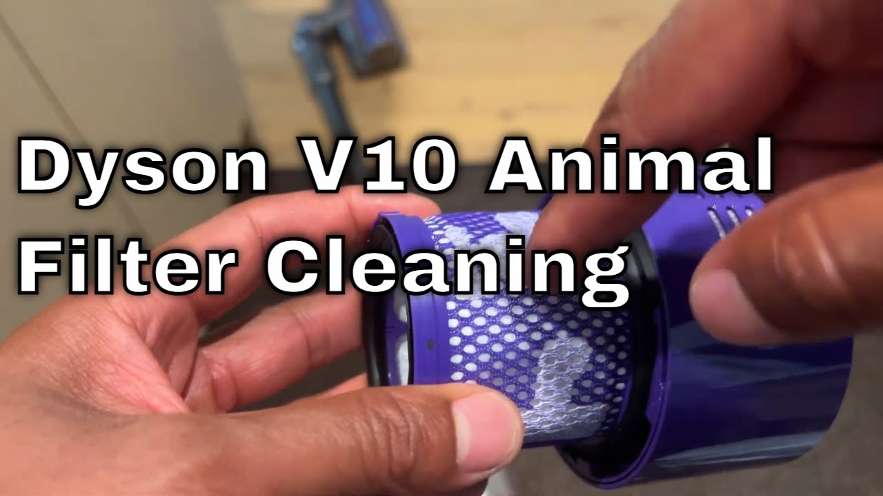Dyson Cyclone V10 Animal Filter Replacement