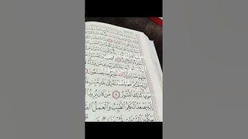 بسم الله الرحمن الرحيم  قران من سورة فاطر #تحياتي_لجميع_متابعين #اكسبلور #ايقنت #النسويه