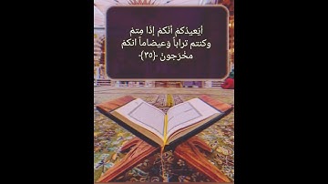 آية ﴿ ولئين اطعتم بشراً مثلكم ﴾ سورة المؤمنون 😭 #القرآن_الكريم #راحة_نفسية #تلاوات #قصص_دينية