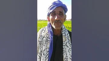 ابو فطيمه موال أسيوط بلادي 
