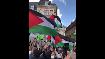 أغنية سول كينغ في شوارع باريس من أجل فلسطين La Liberté Soolking 