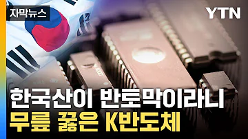 자막뉴스 韓 반도체 추락하는 사이 실적 싹쓸이한 기업 YTN