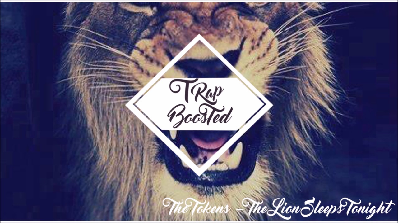The Lion Sleeps Tonight Techno Remix