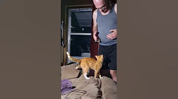 Simba Giving Hugs 