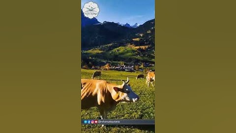 سورة الحج | الشيخ د./ياسر الدوسري (أَلَمْ تَرَ أَنَّ اللَّهَ يَسْجُدُ لَهُ مَن فِي السَّمَاوَاتِ)