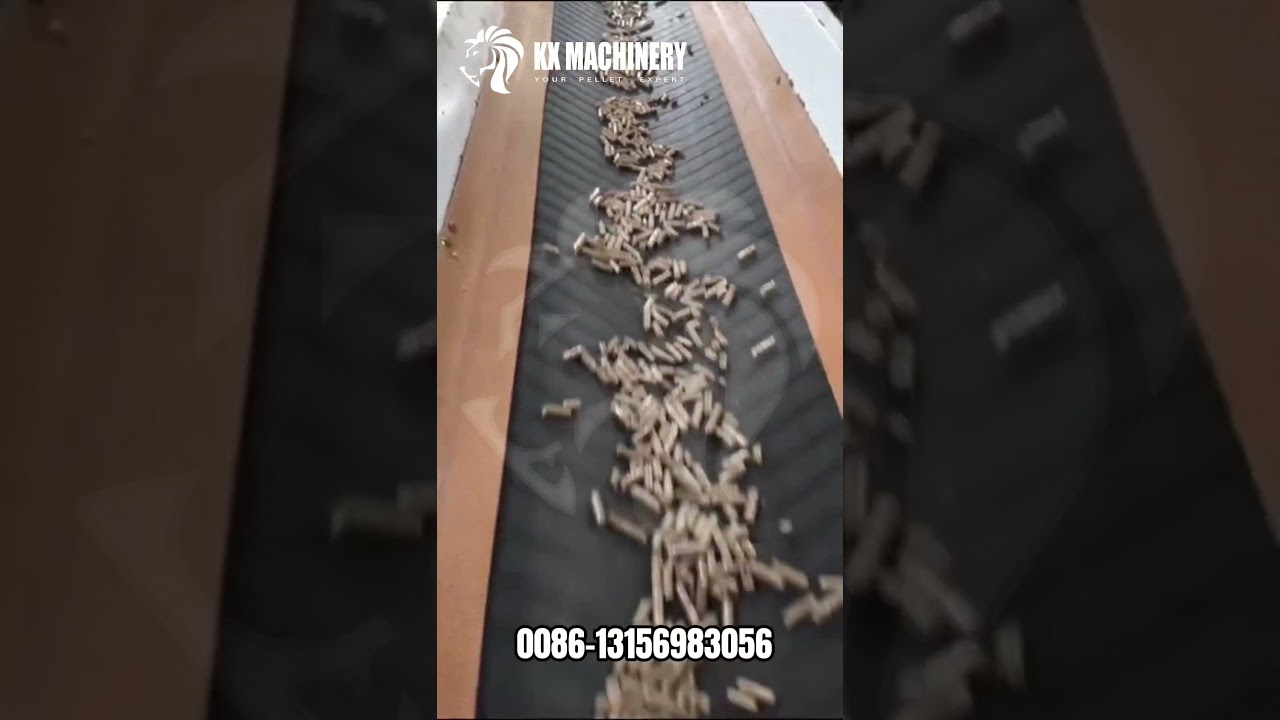 Biomass Fuel Wood Sawdust Pellet Machine Wood Chips Pellet Mill Pellet Production Line