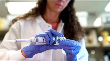 Virginia Tech - Wake Forest University Biomedical Engineering and Sciences