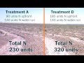 Cottoninfo nitrogen trial time lapse  macquarie valley