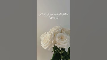 ﴿وَلِسُلَيۡمَٰنَ ٱلرِّيحَ عَاصِفَةٗ﴾ || سورة الأنبياء القارئ هيثم الدخين #هيثم_الدخين #تلاوات_خاشعة