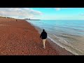 Brighton’s Mesmerizing Sea Sounds | Relaxing Ocean Waves 🌊🎶