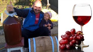 ВИНО ИЗ ВИНОГРАДА !!! Виноградное вино Часть 2 ВИНО ИЗ ВИНОГРАДА !!! Виноградное вино Часть 2