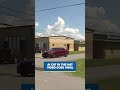 AI Cat in The Hat posts go viral