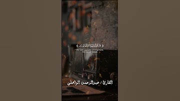 إِذْ قَالُوا لَيُوسُفُ وَأَخُوهُ أَحَبُّ إِلَىٰ أَبِينَا مِنَّا #سورة_يوسف #عبدالرحمن_واصلي #اكسبلور