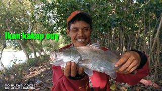 Mancing Ikan Kakap Di Sungai Pajodangan Pamanukan