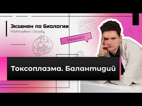 Экзамен по биологии | ТОКСОПЛАЗМА. БАЛАНТИДИЙ