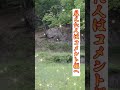 ※この動画に「あるモノ」が見えたら怖いくらい幸運が訪れる!? #Shorts