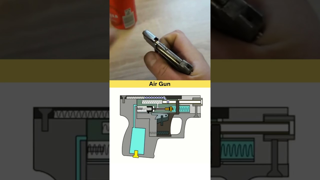 Animation et initiation AIRGUN encadrée – PARC DE LOISIRS ARCHERY